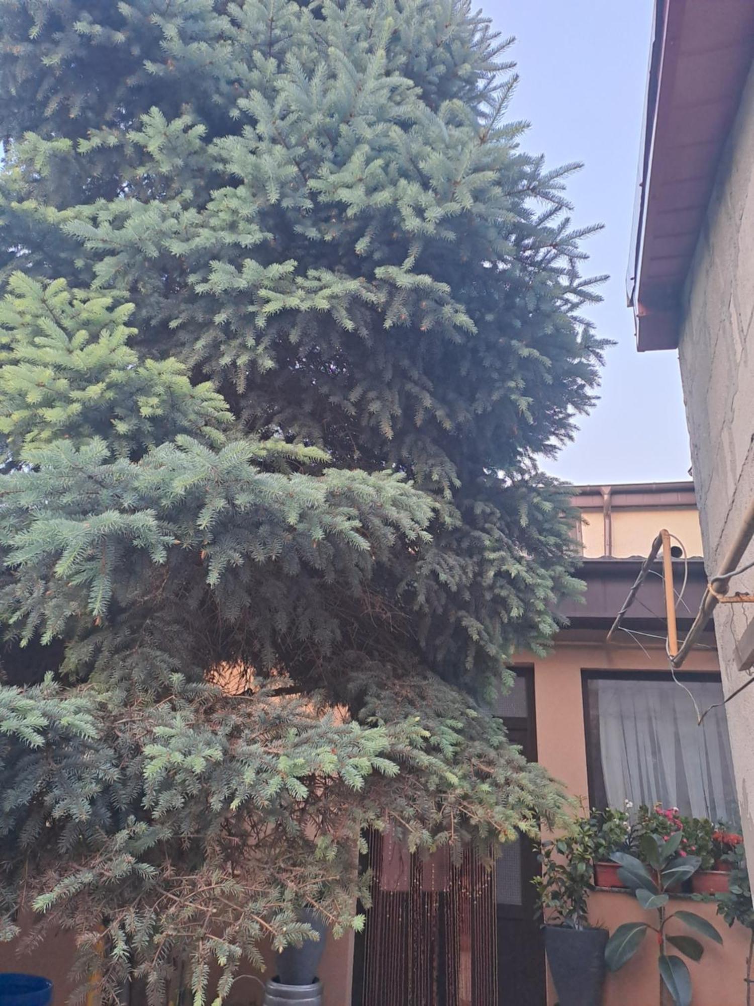 Casa Rusu Apartamento Galaţi Exterior foto